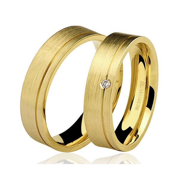 Alianças de ouro 18k Anatômica Brilhante 15.5g 5.5mm